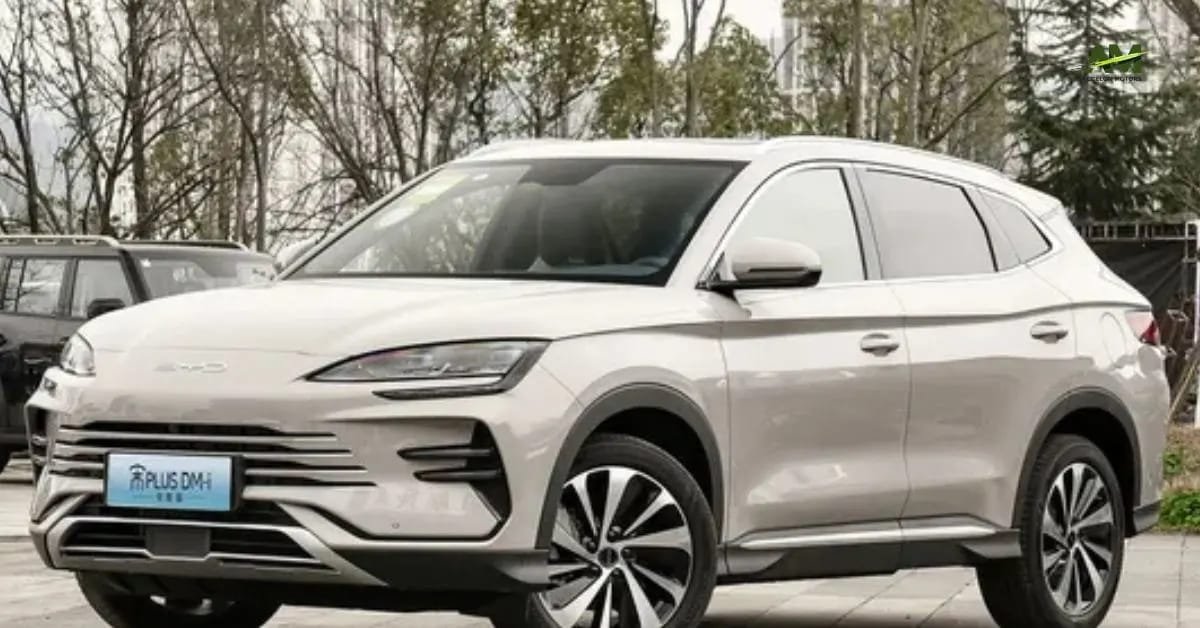 BYD Sales in may 2025 of Record But Stock Crashes. BYD Sales in may 2025 of Record But Stock Crashes.